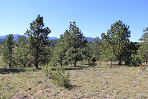 Westcliffe Mountain Property For Sale