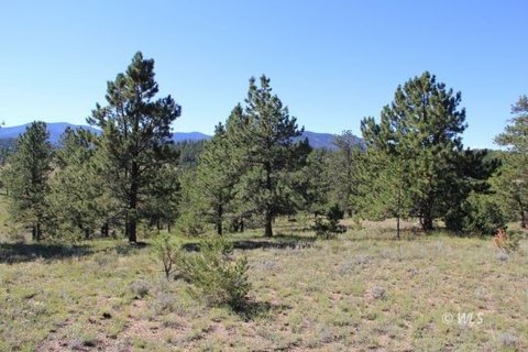 Westcliffe Mountain Property For Sale