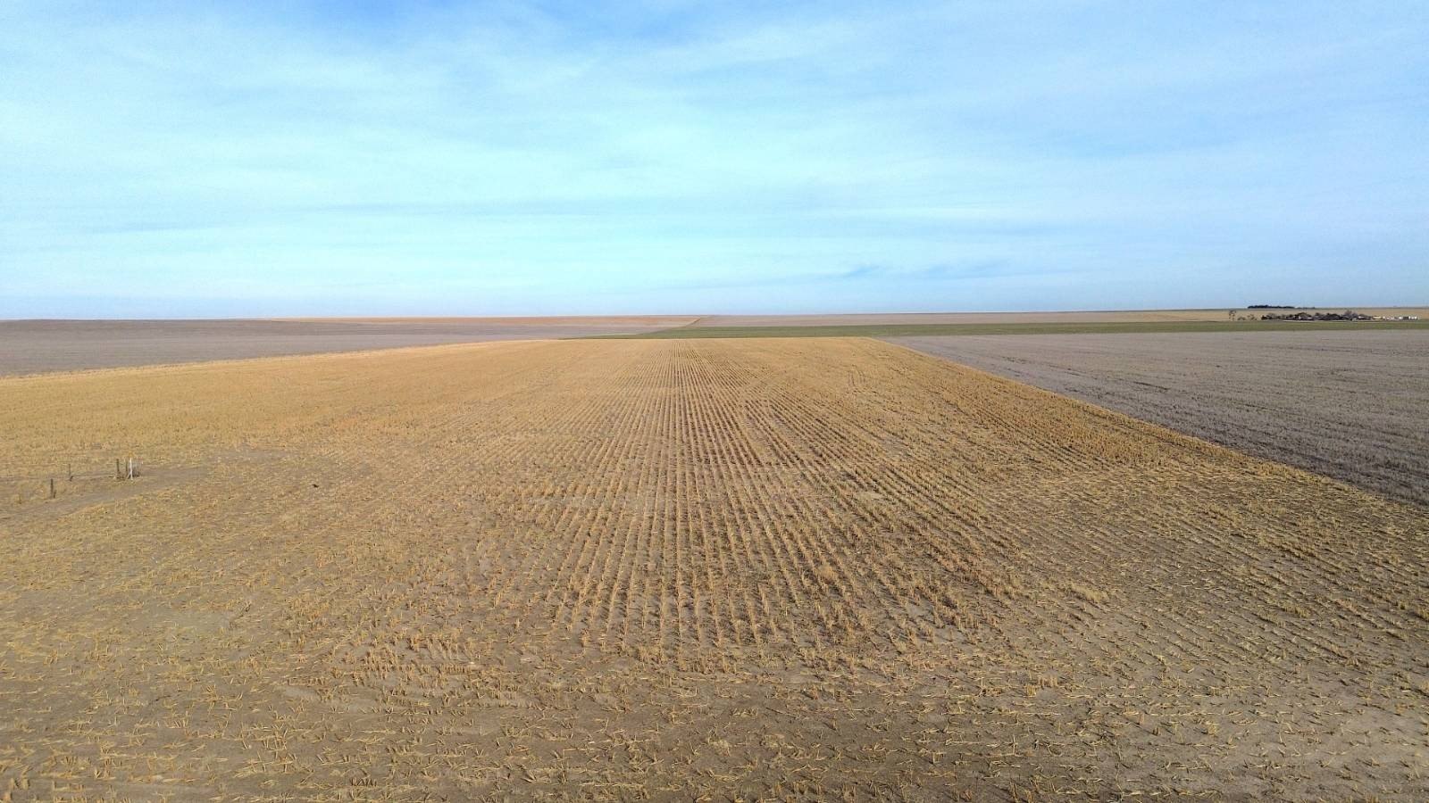 Farmland Opportunity Near Bird City