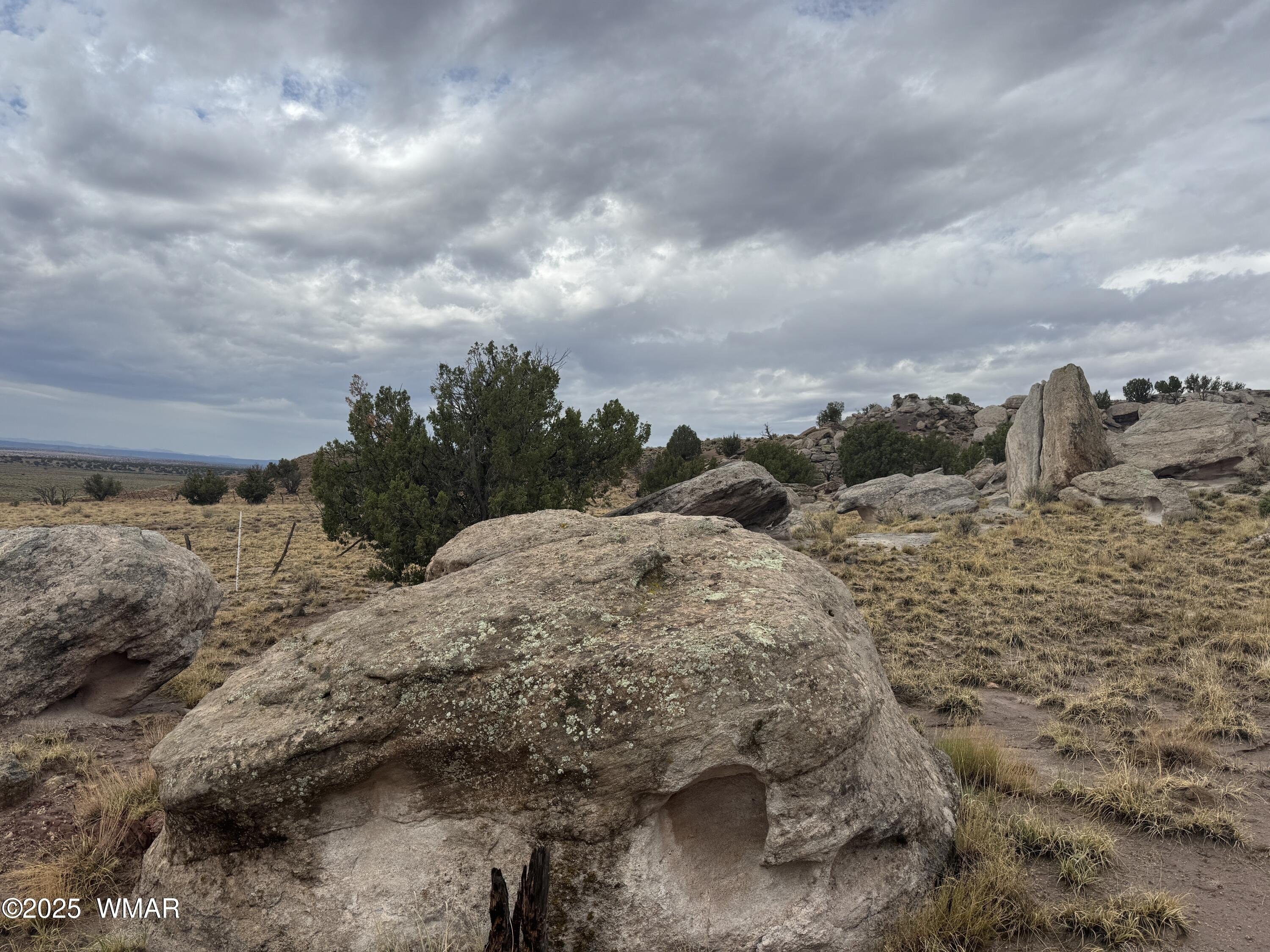 41.5 Acres in Concho, AZ