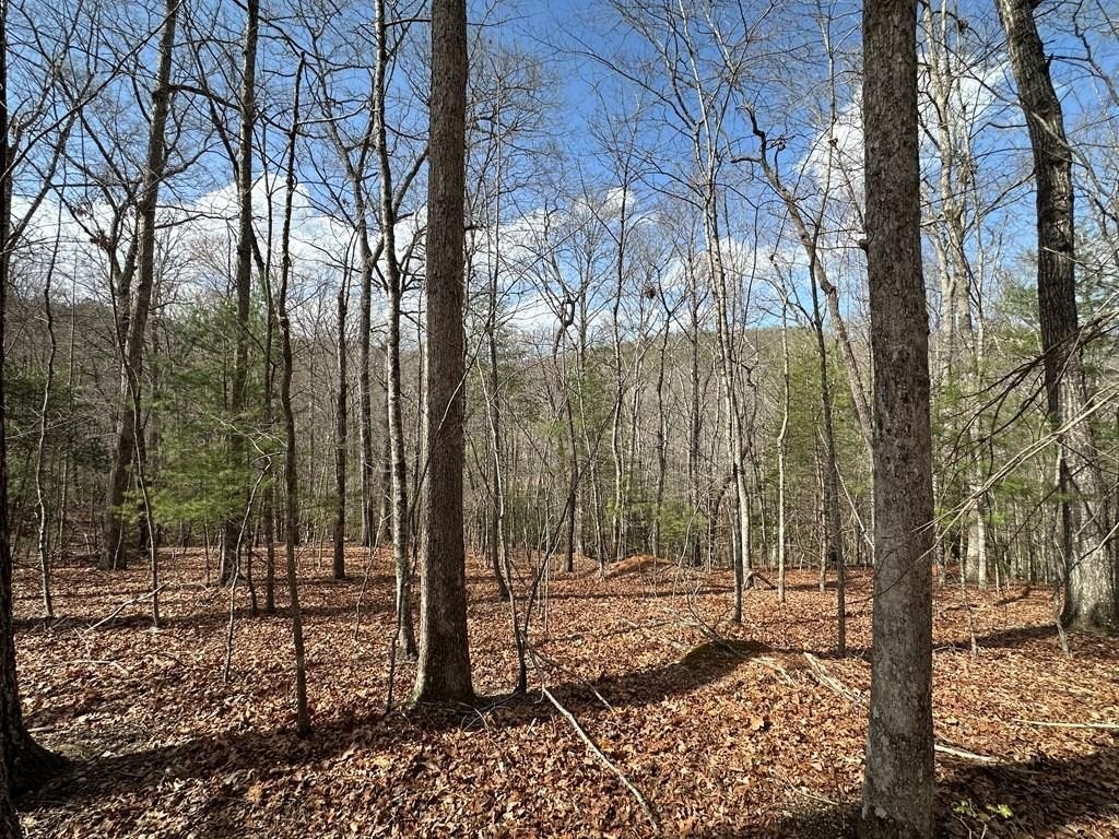 Vacant Lot in Aska Area