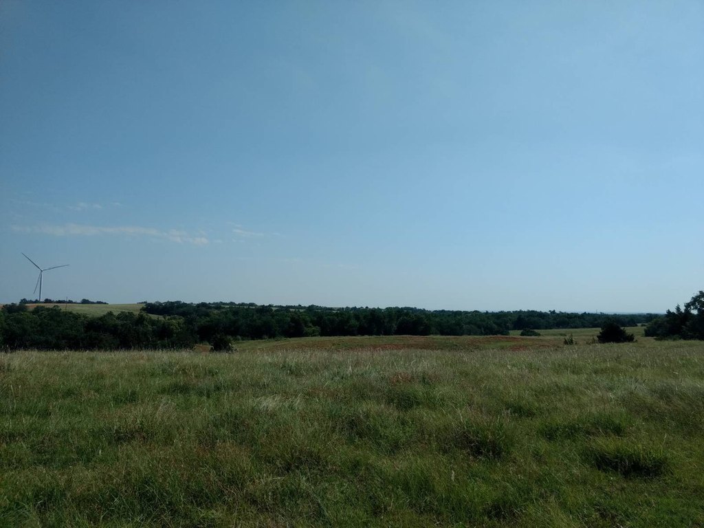 Picture 50