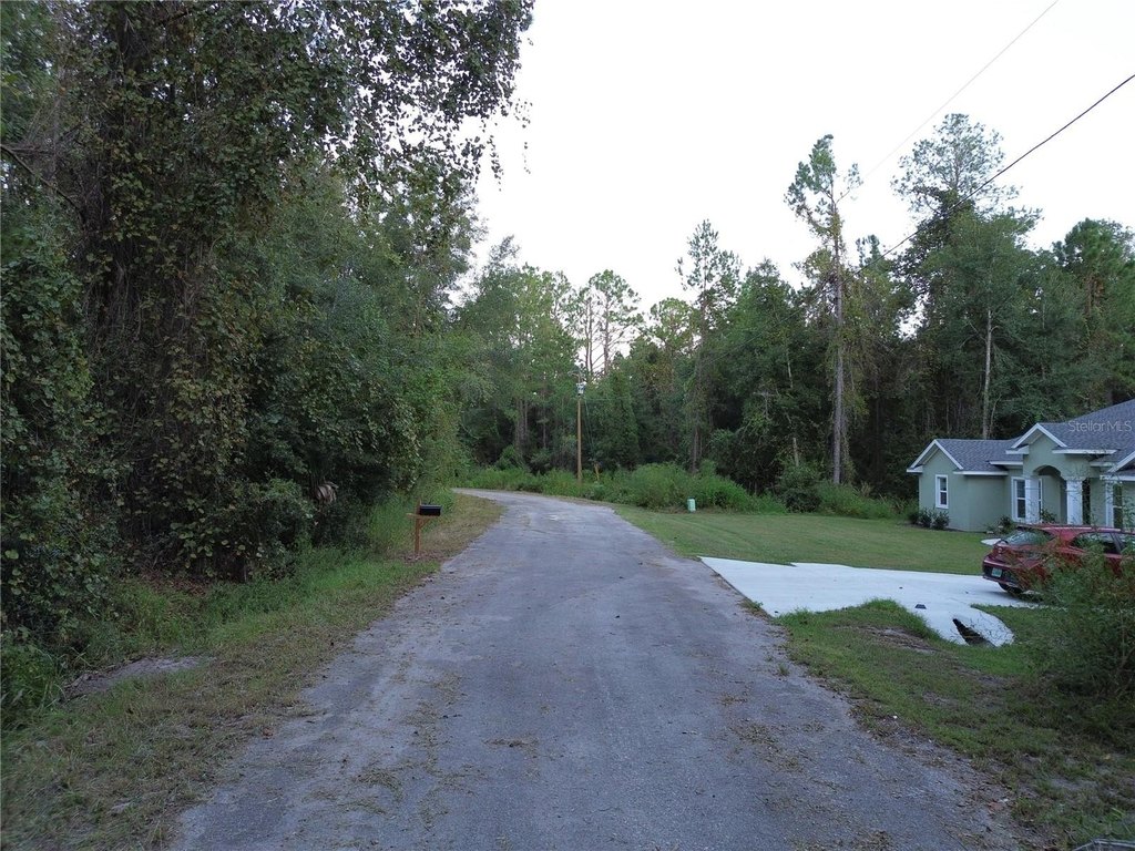 Picture 3