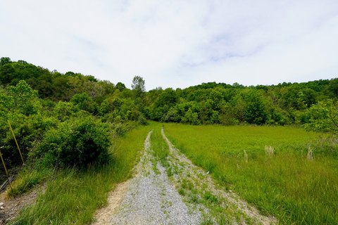 Wooded Hunting Land