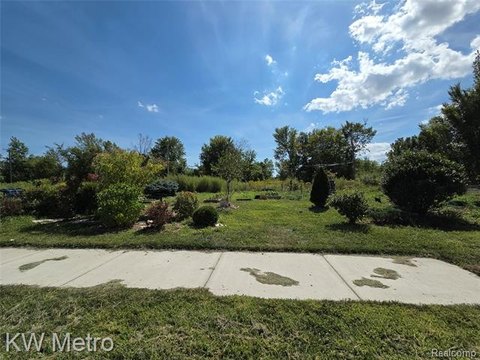 Residential Land in Detroit