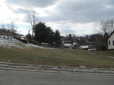 Residential Lot in Stonegate