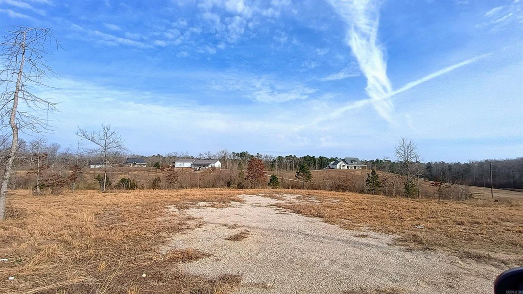 Picture 8