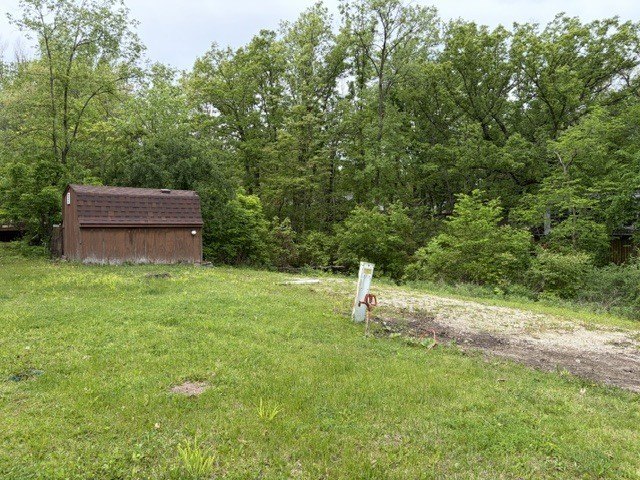 Picture 4
