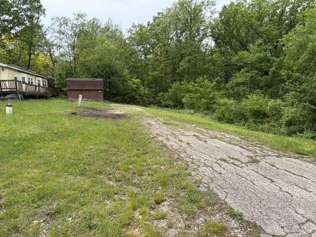 Picture 3
