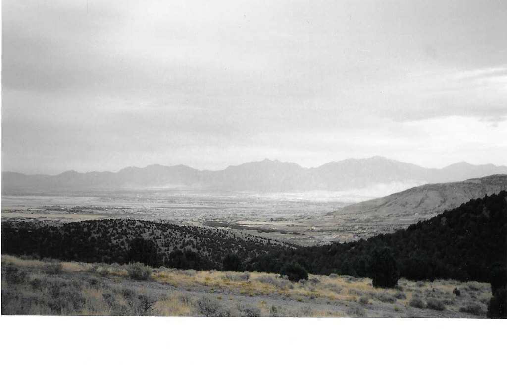 Picture 3