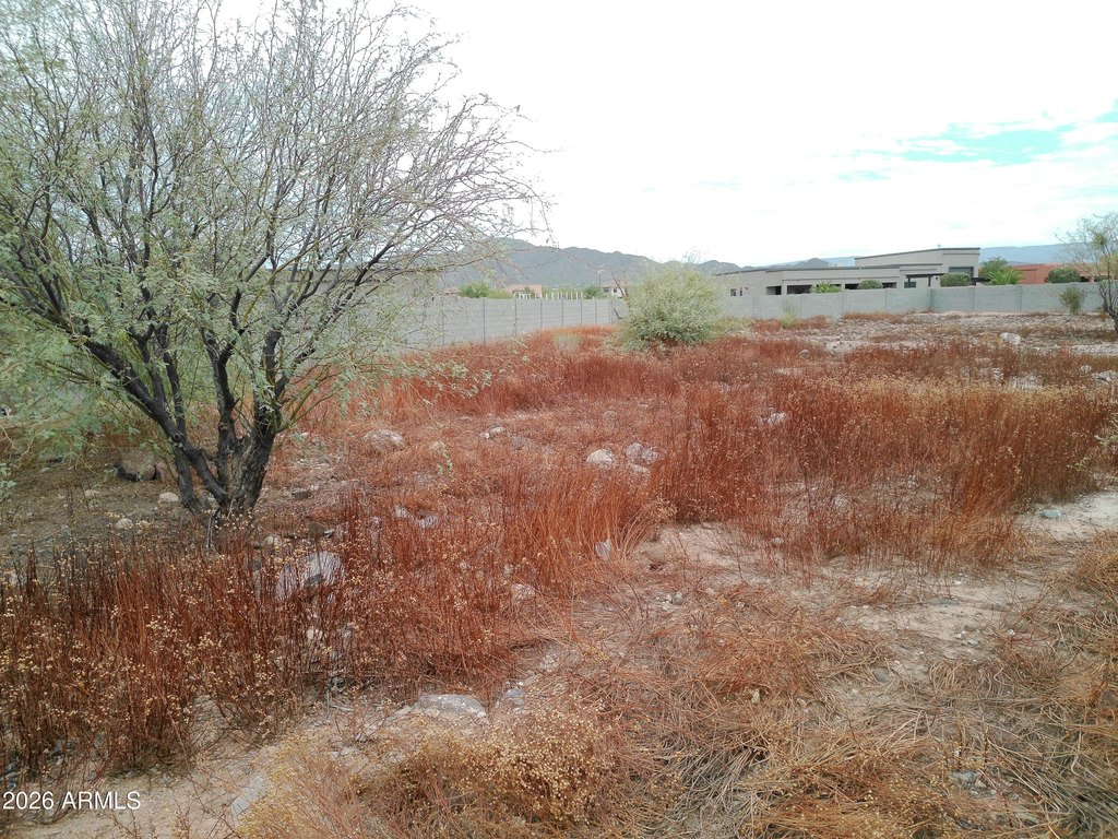 Picture 3