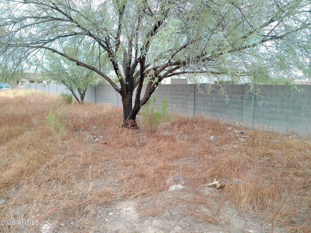 Picture 4
