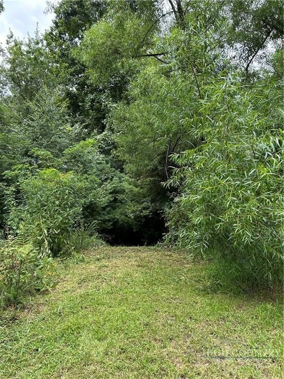 Picture 3