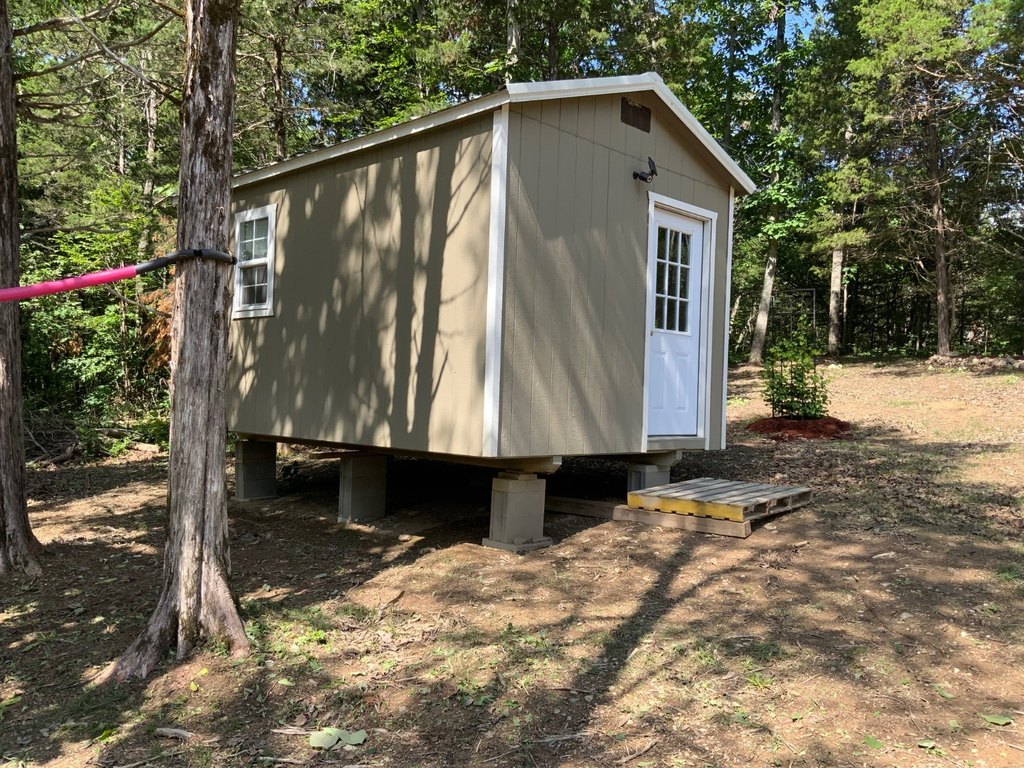 Picture 5