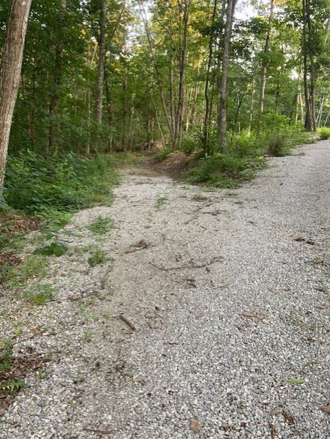 Picture 13