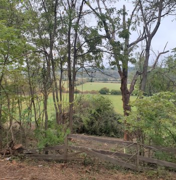 Springfield Land with River Frontage