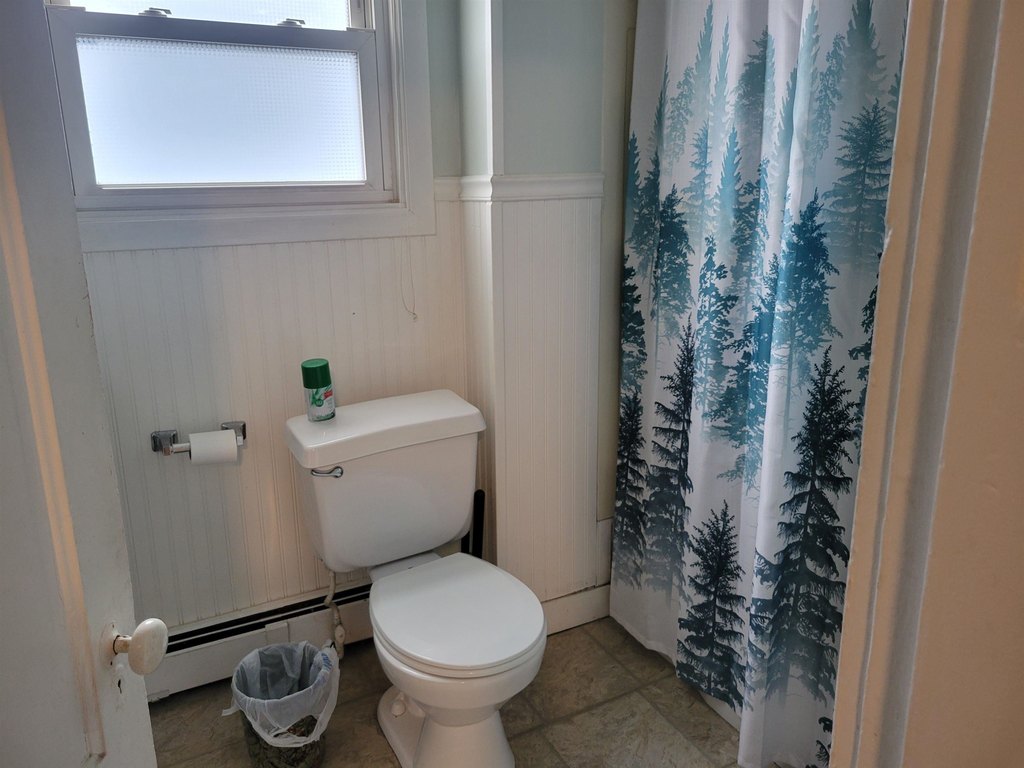 Picture 18