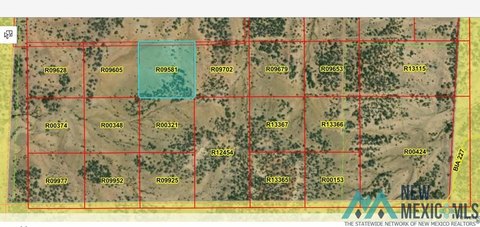 Secluded Land Parcel Near Pinehill