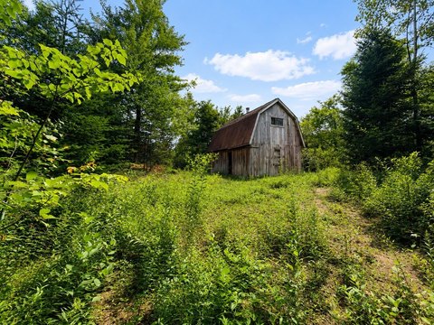 Wooded Recreation Land with Camp