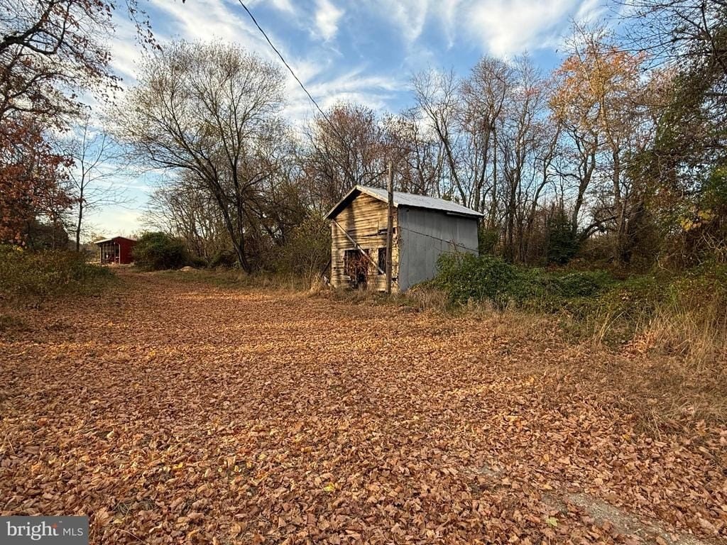 Picture 43