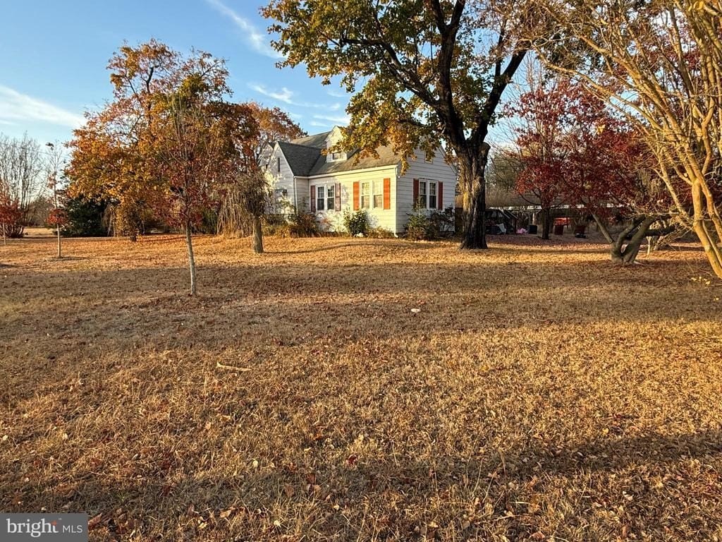 Picture 21