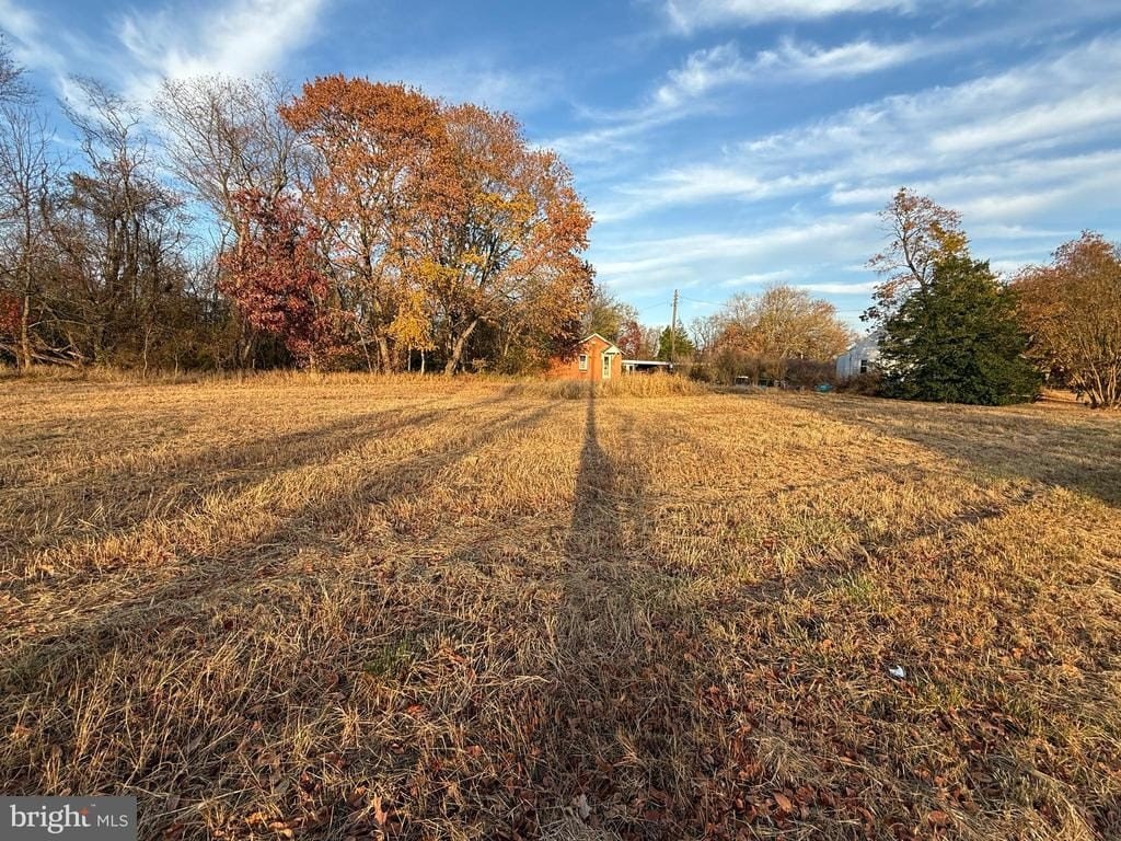 Picture 18