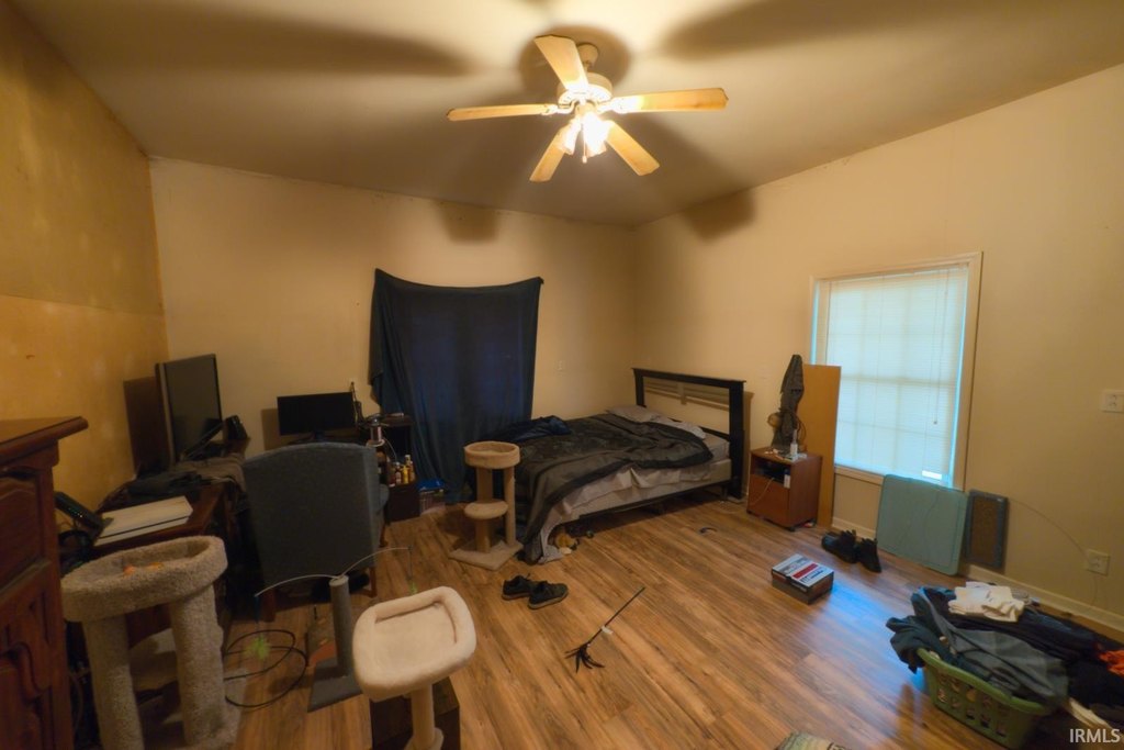 Picture 26