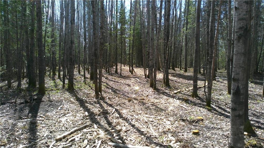 Picture 4