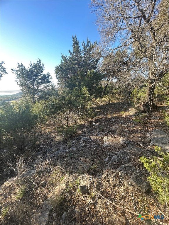Picture 10