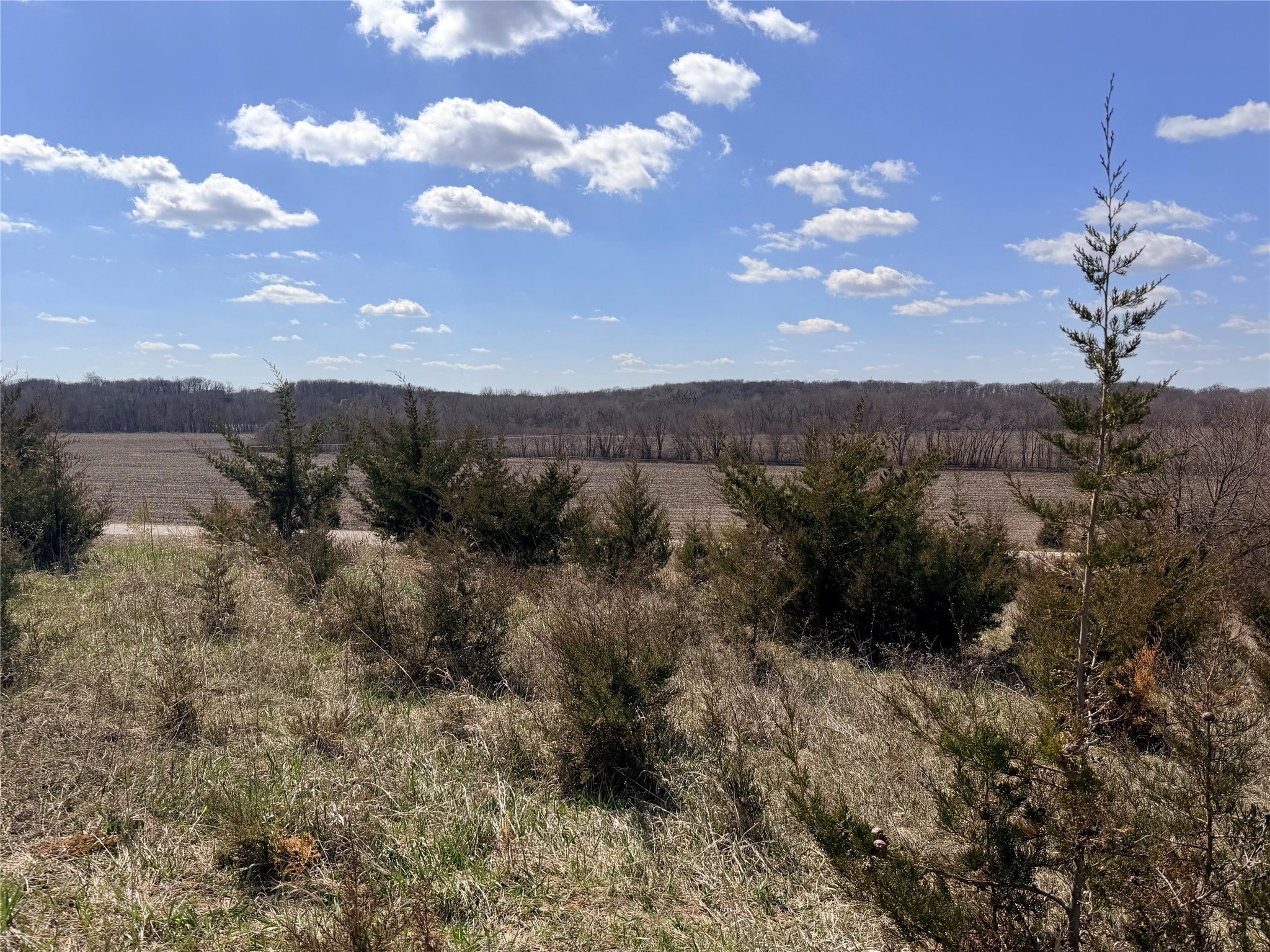 Scenic Acreage for Dream Home