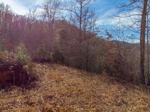 Secluded Mountain Land in Sylva, NC