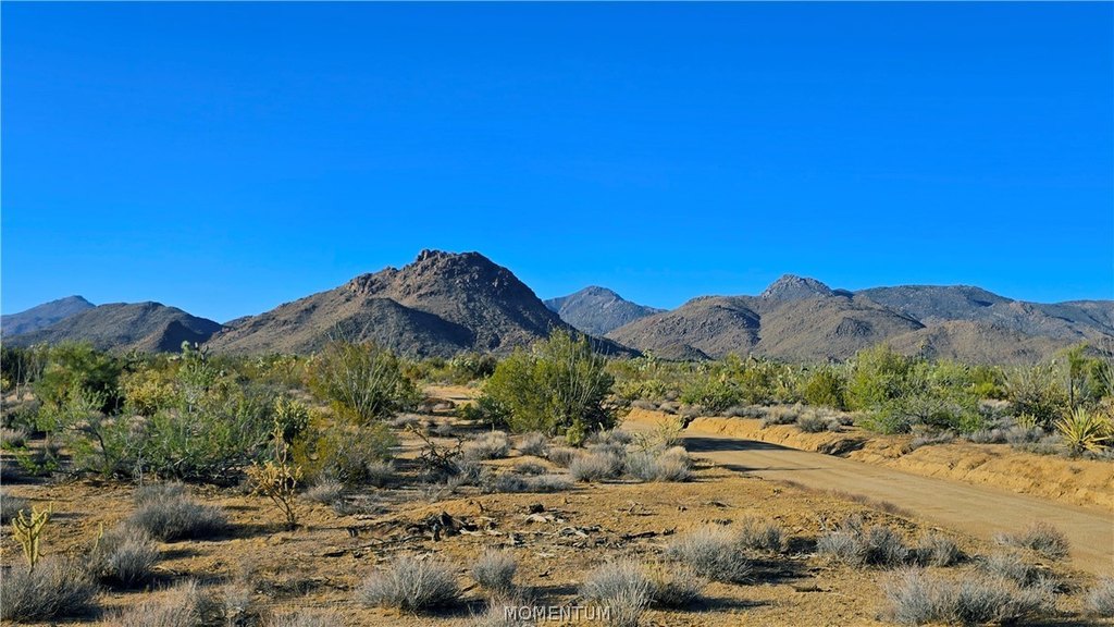 Picture 47
