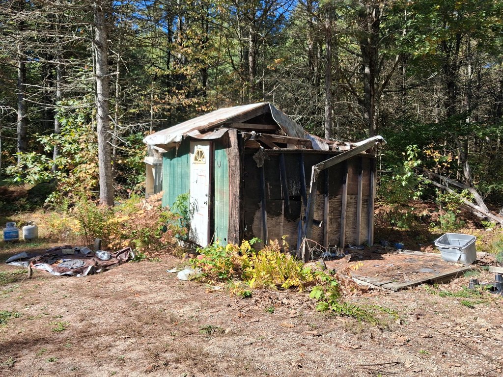 Picture 5