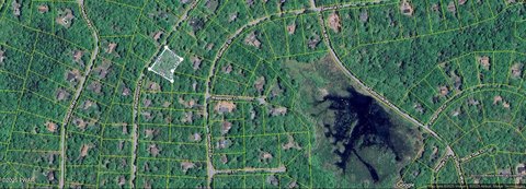 Wooded Lot in Gated Community