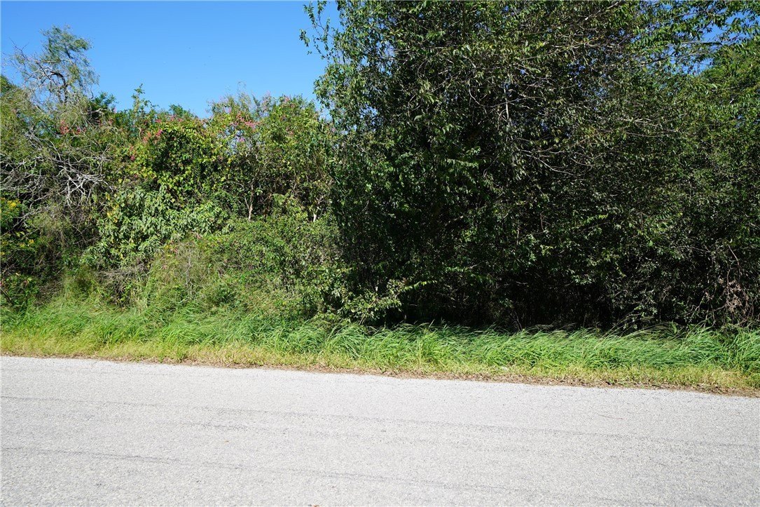 Residential Land in Sandia, TX