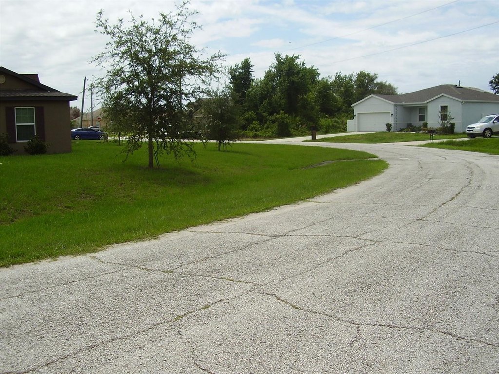 Picture 7