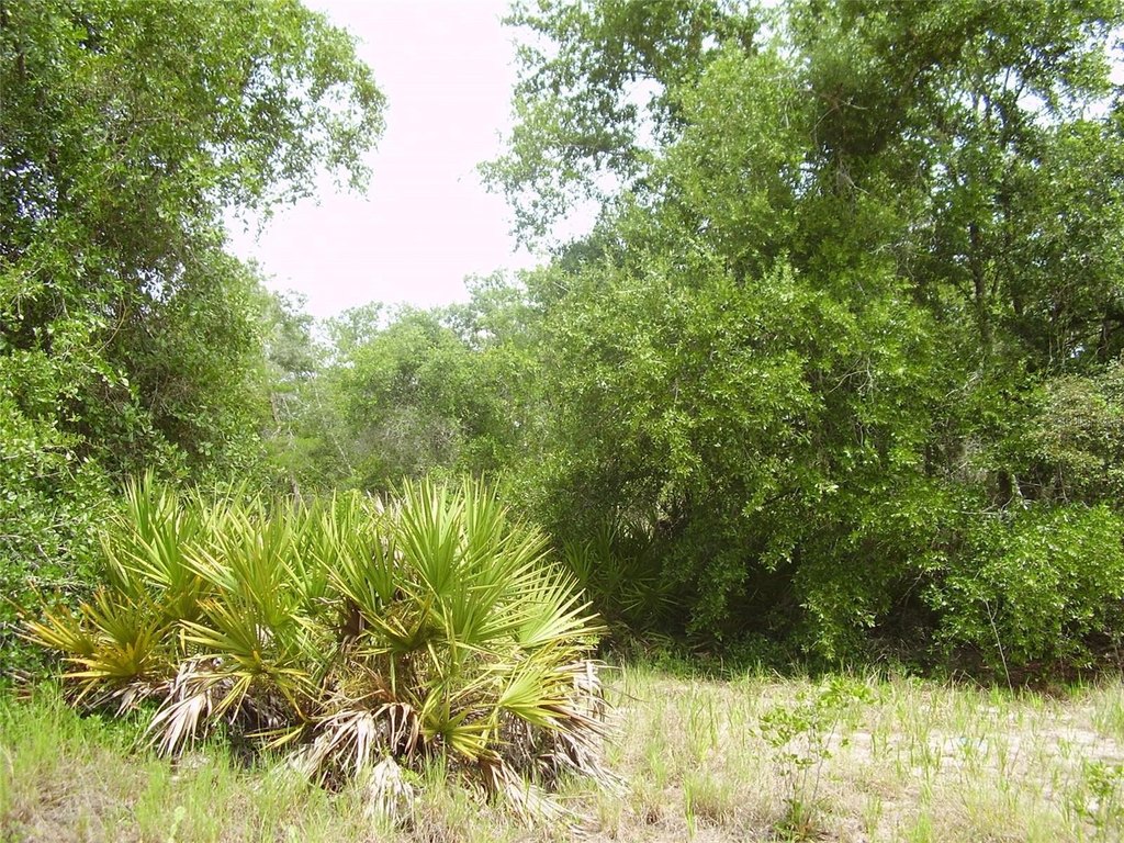 Picture 5