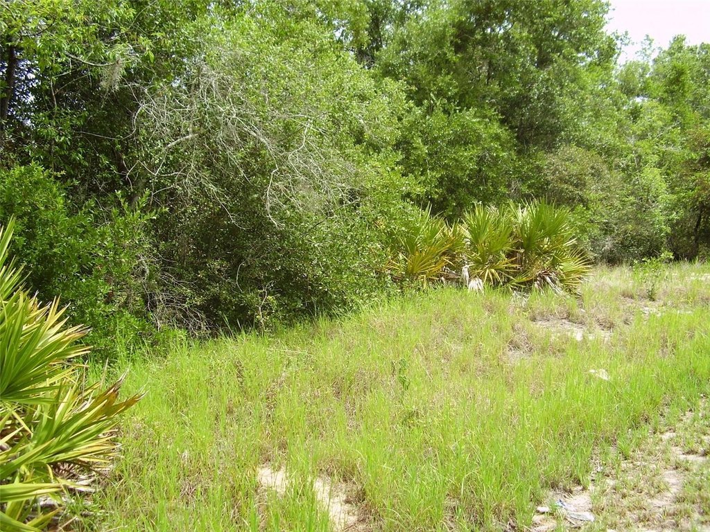 Picture 2