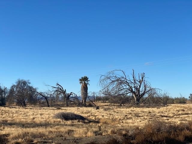 Picture 23