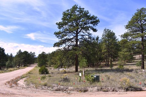 Vacant Land, Westcliffe, CO