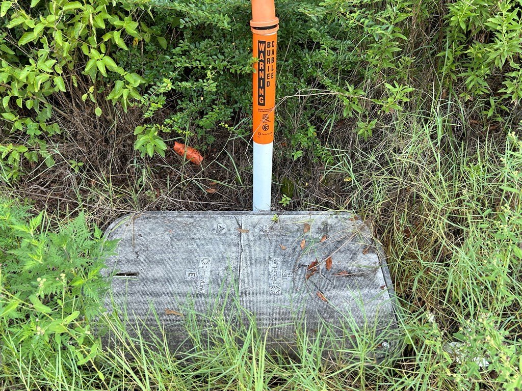 Picture 16