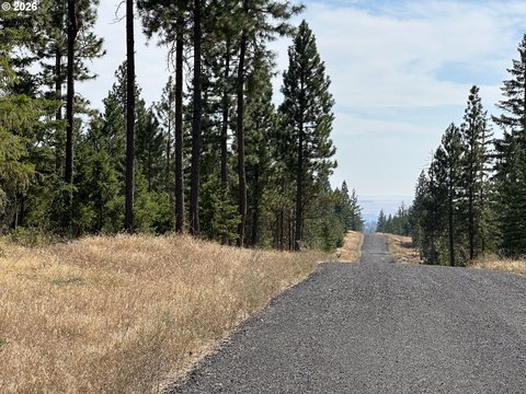 Land, Goldendale, WA
