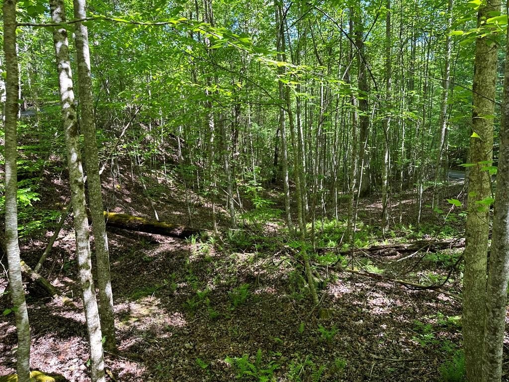 Picture 16