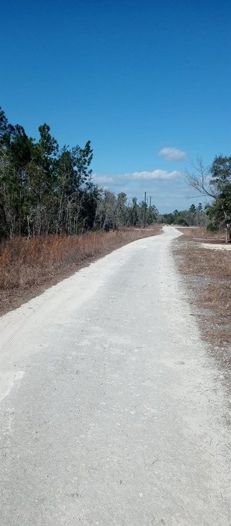Picture 2