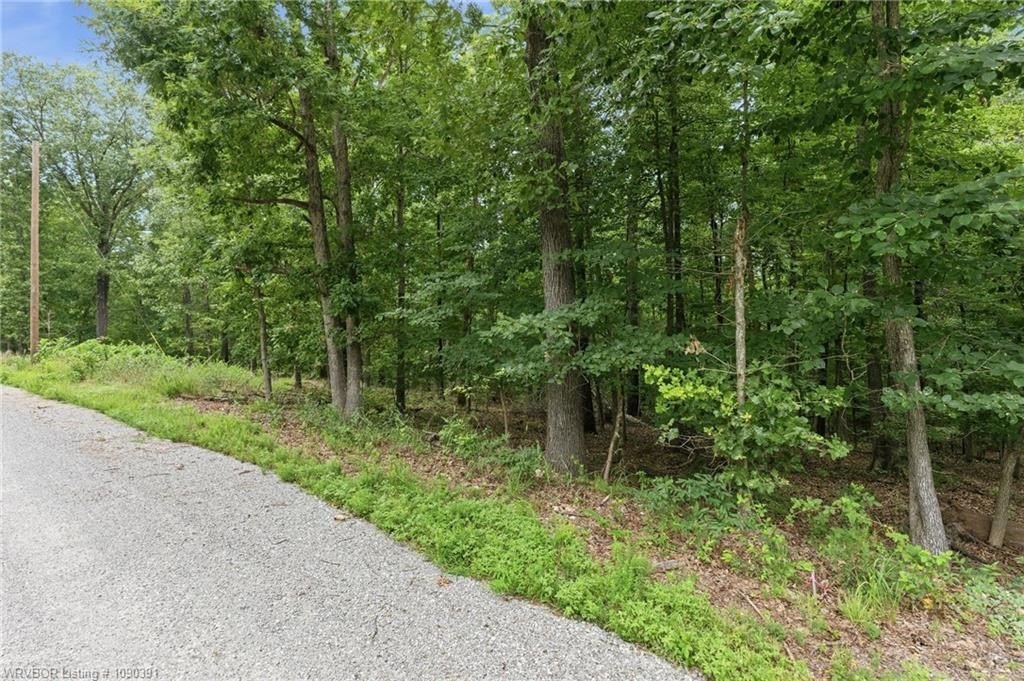 Picture 9