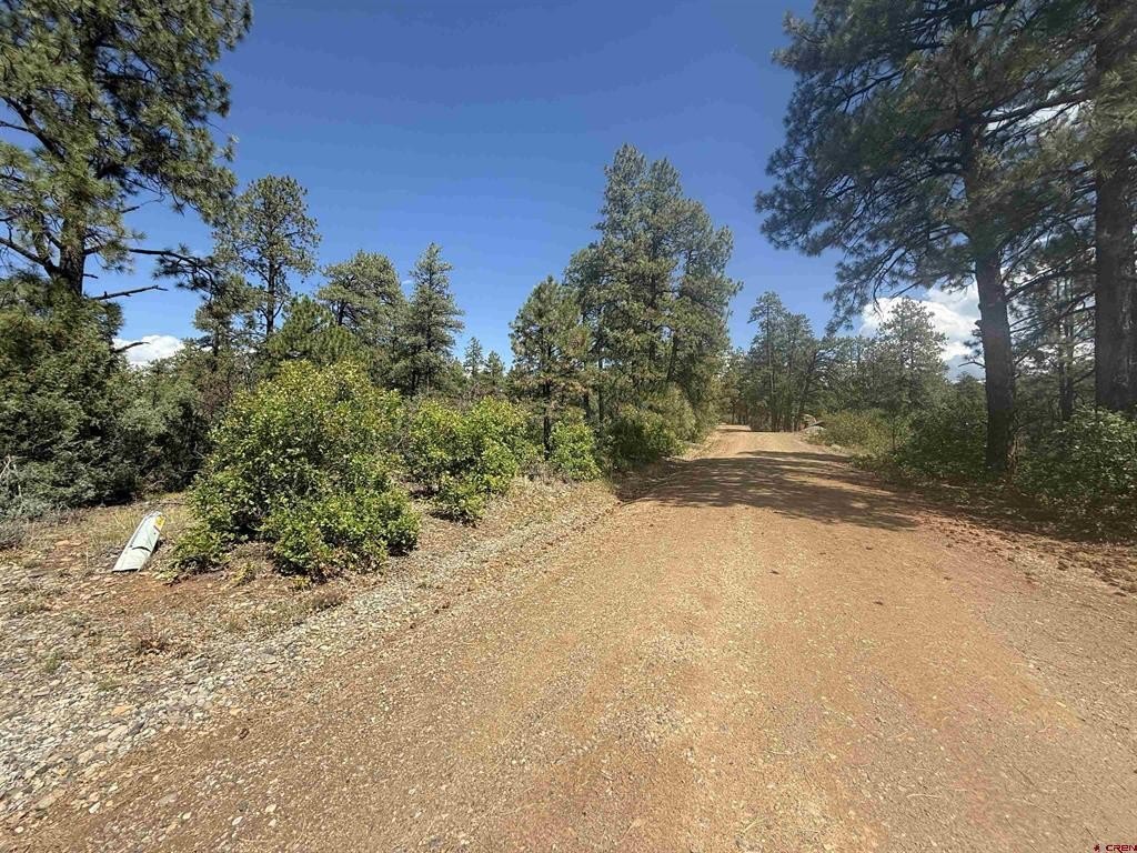 Picture 30