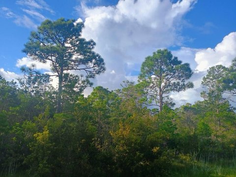 Land, Eastpoint, FL