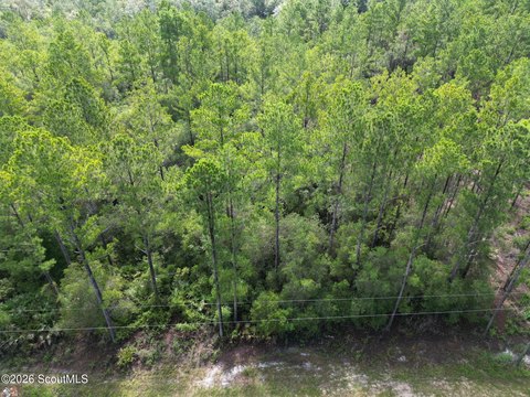 Land, Hortense, GA