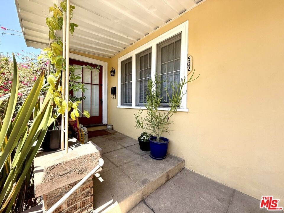 Picture 6