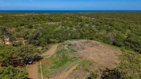 Tamarindo